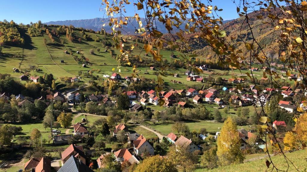 On Bran (Brasov)