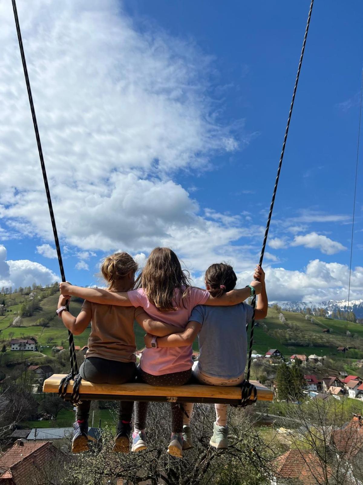 Chalet On Bran (Brasov)