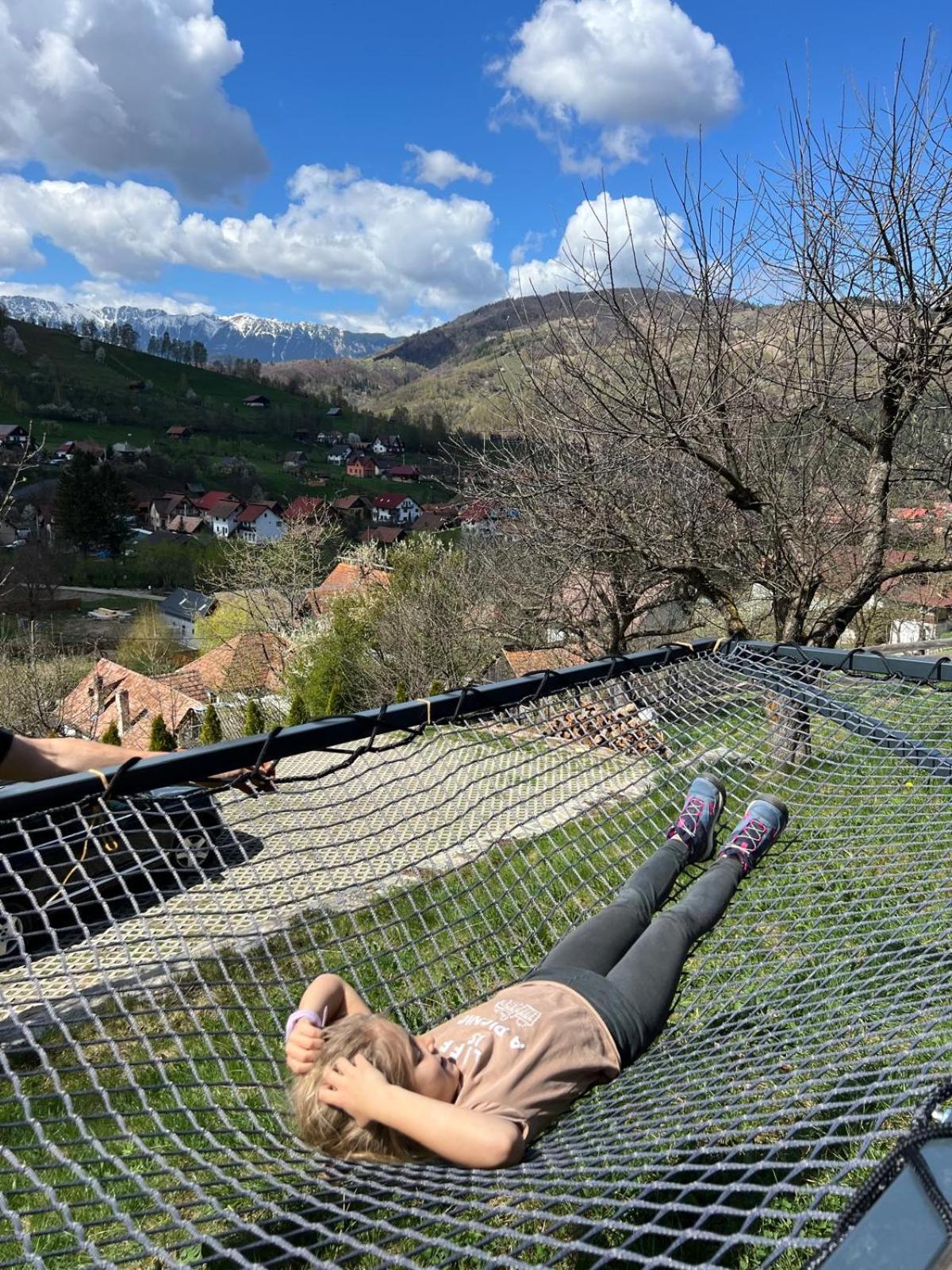 On Chalet Bran (Brasov)